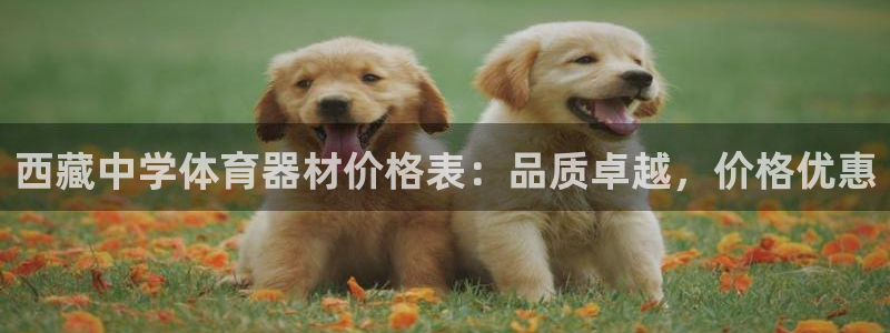 极悦平台注册失败如何解决呢：西藏中学体育器材价格表：