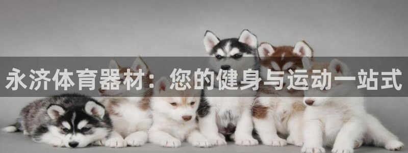 极悦娱乐的背景和历史背景分析：永济体育器材：您的健身