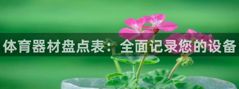 极悦娱乐代理：体育器材盘点表：全面记录您的设备