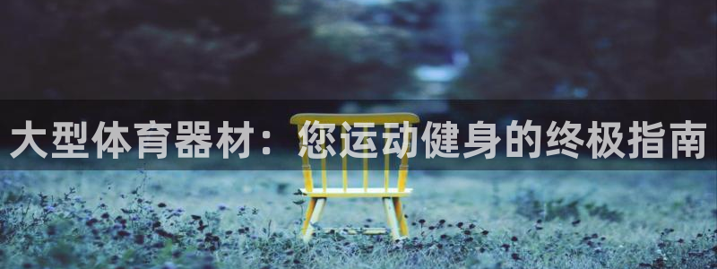 极悦是什么牌子空调的：大型体育器材：您运动健身的终极