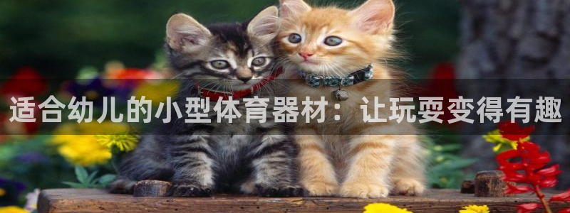 极悦牙膏怎么样知乎：适合幼儿的小型体育器材：让玩耍变