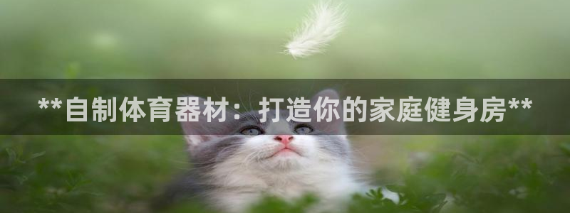 苏州极悦信息科技有限公司：**自制体育器材：打造你的