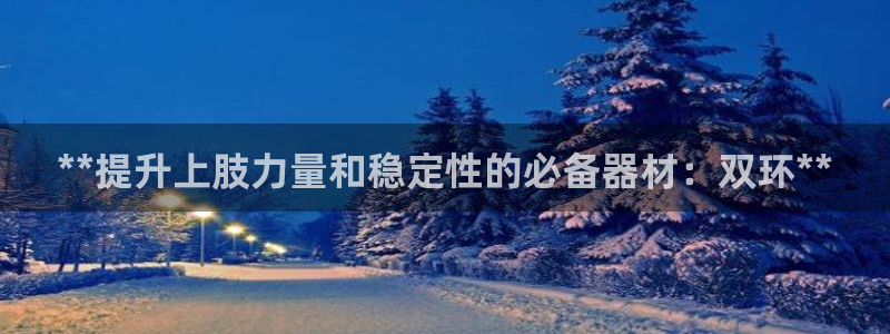 极悦平台安全吗：**提升上肢力量和稳定性的必备器材：