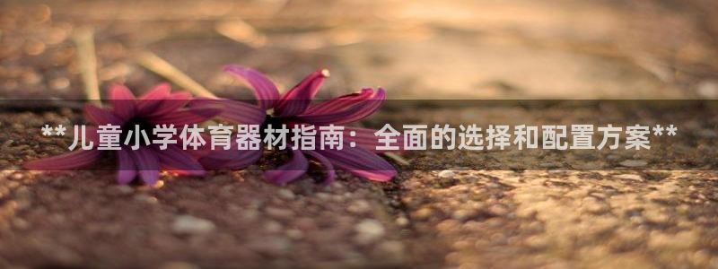 极悦平台非7O777：**儿童小学体育器材指南：全面