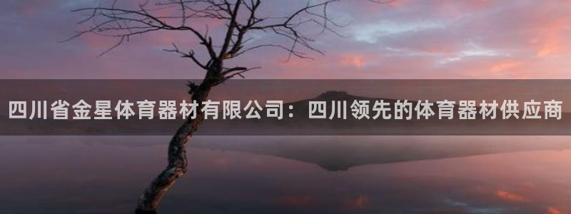 极悦平台有风险吗安全吗：四川省金星体育器材有限公司：
