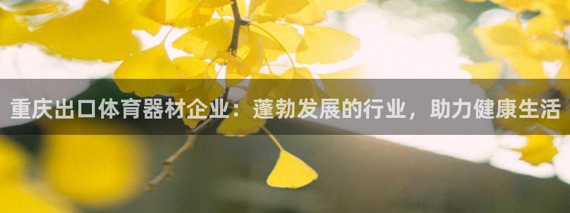 极悦娱乐创始人背景故事介绍：重庆出口体育器材企业：蓬