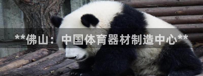 极悦平台客服的联系方式是：**佛山：中国体育器材制造