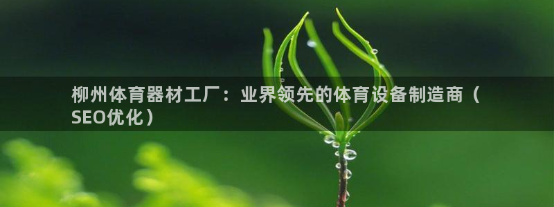极悦娱乐代理人是谁：柳州体育器材工厂：业界领先的体育