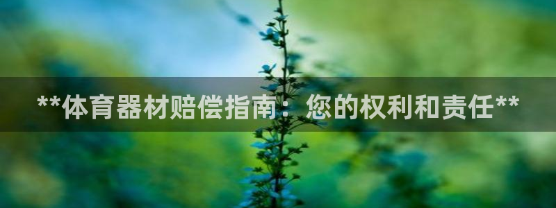 极悦平台是什么：**体育器材赔偿指南：您的权利和责任