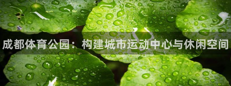 极悦平台官方网站入口链接手机