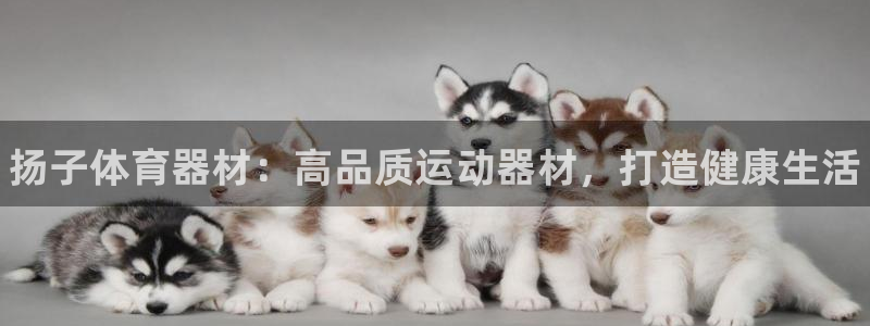 极悦平台官方网站下载安装：扬子体育器材：高品质运动器材，打造