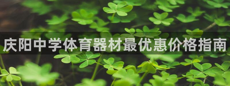 极悦娱乐登录拒绝访问怎么办：庆阳中学体育器材最优惠价格指南