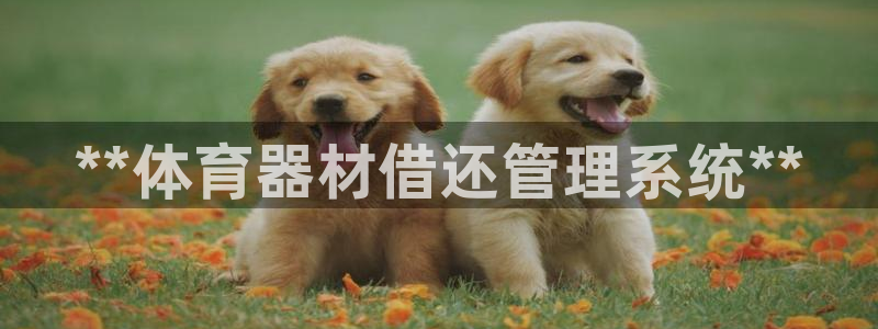 极悦娱乐官网最新版本更新内容：**体育器材借还管理系统**