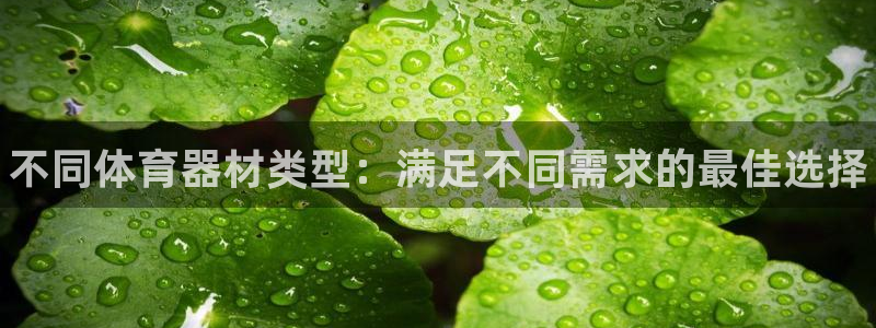 极悦官方网站入口网址大全：不同体育器材类型：满足不同
