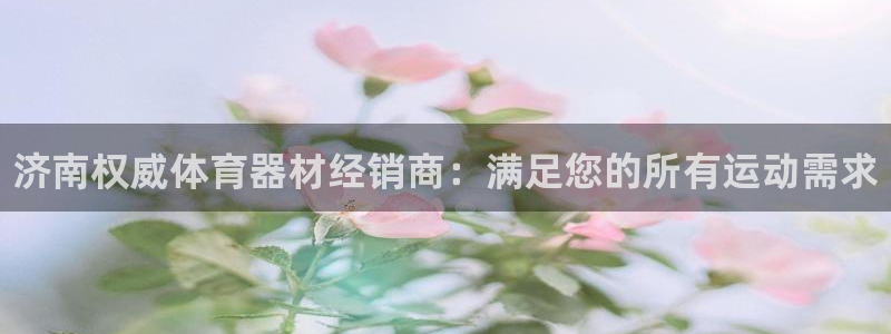 极悦娱乐官网入口下载：济南权威体育器材经销商：满足您的所有运