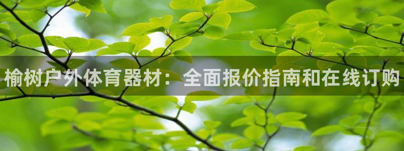 极悦平台客服投诉电话是多少：榆树户外体育器材：全面报价指南和