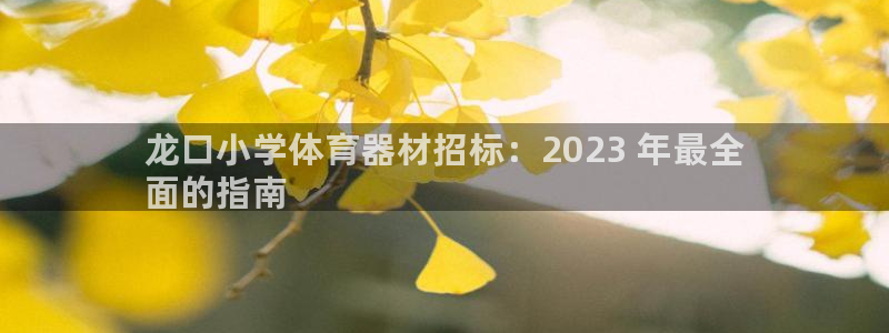 极悦娱乐官网入口：龙口小学体育器材招标：2023 年最全
面