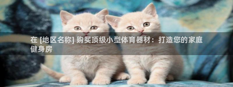 极悦娱乐部7O777：在 [地区名称] 购买顶级小型体育器材