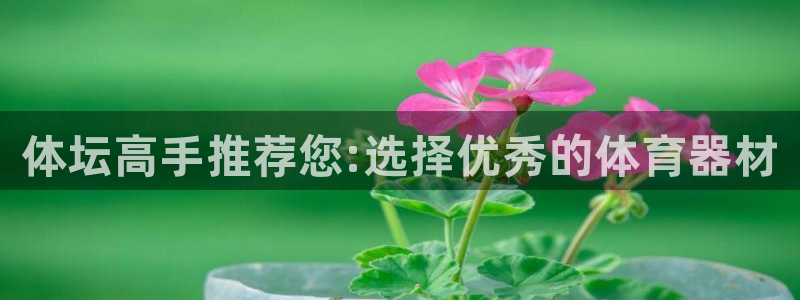 极悦平台官方网站登录：体坛高手推荐您:选择优秀的体育