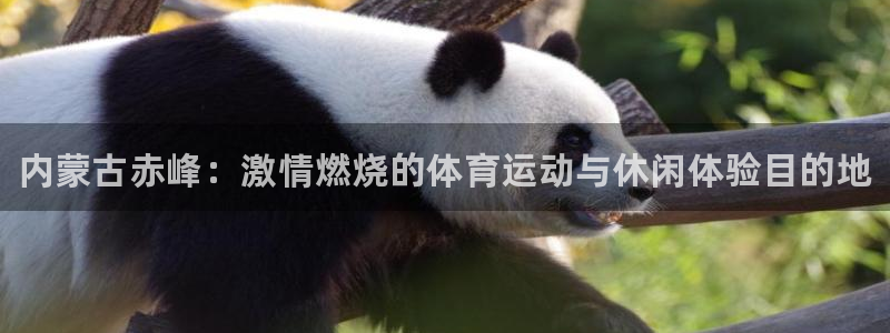 极悦是什么牌子空调的