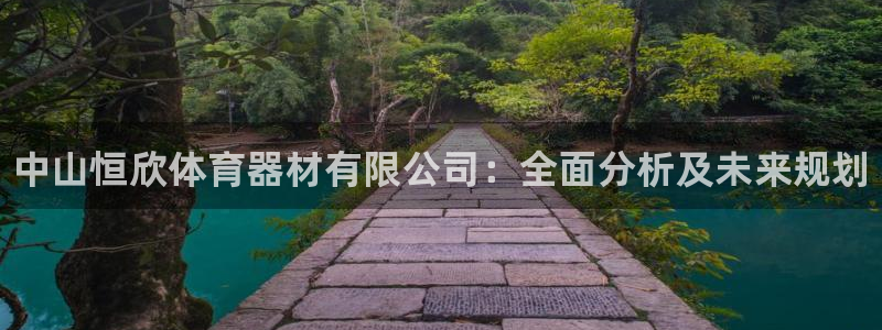 极悦平台客服团队怎么样：中山恒欣体育器材有限公司：全面分析及