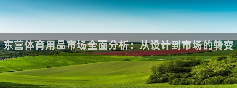 极悦平台注册失败如何解决方法：东营体育用品市场全面分