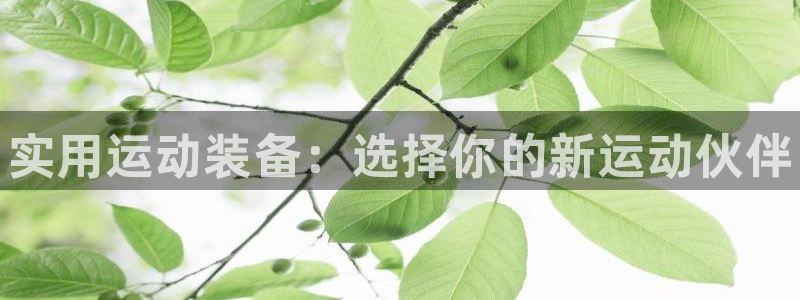极悦平台注册和登录页面一样吗
