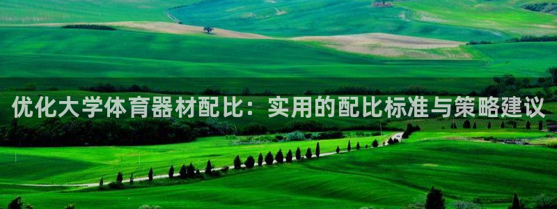 极悦平台注册用户名格式不正确